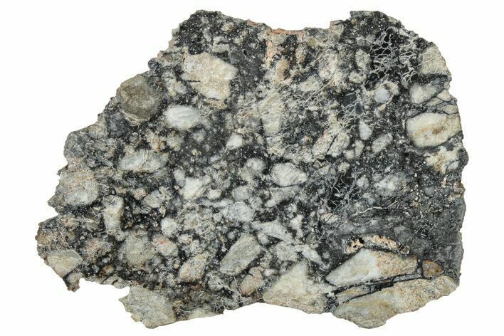 Polished Lunar Meteorite ( g) Slice - Ajdabiya #301129